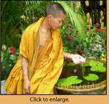 picture of a buddist monk in xishuangbanna