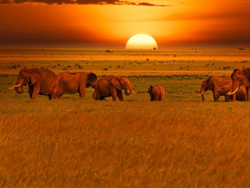 National Parks in Kenya